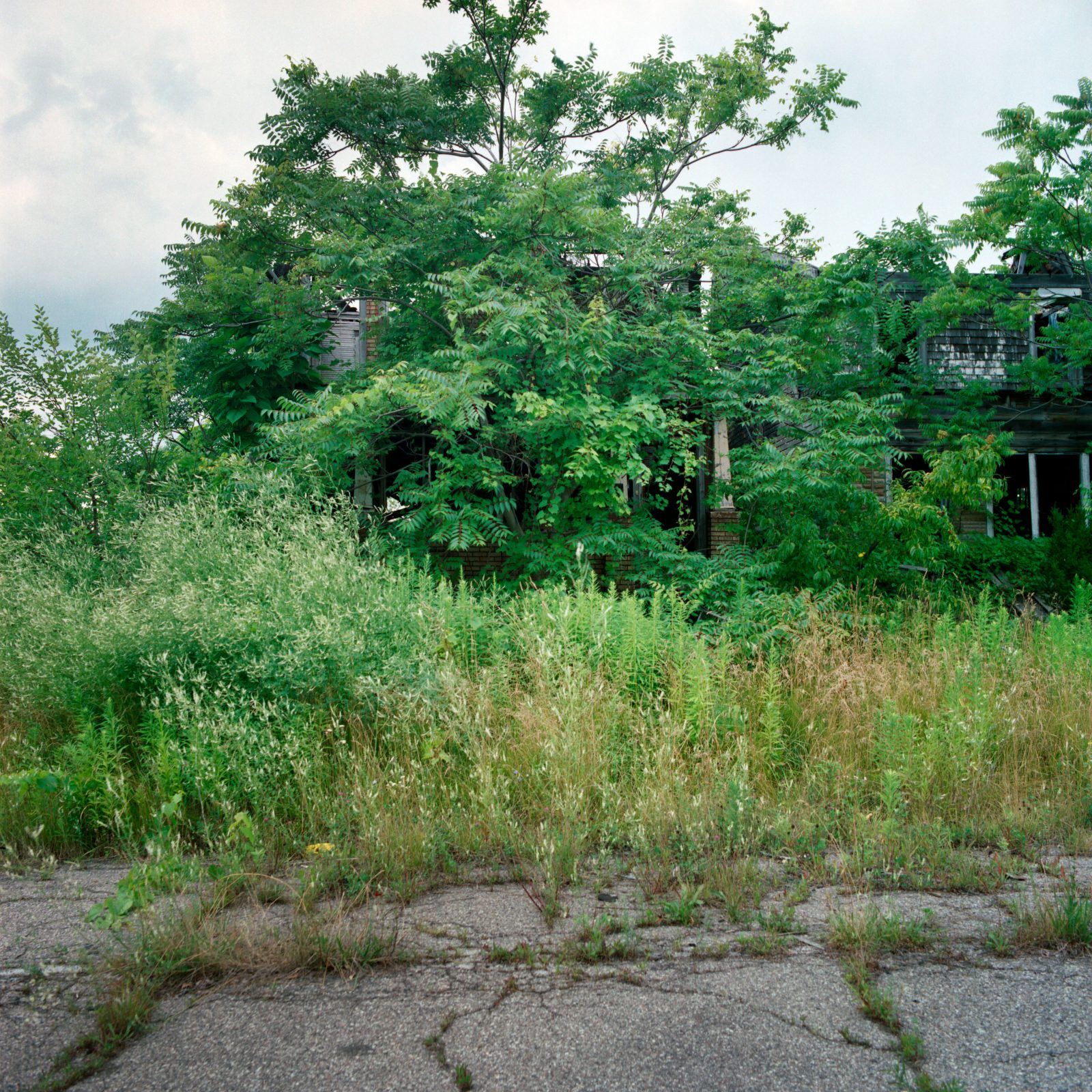 Abandoned house in Detroit, Michigan - July 20, 2009