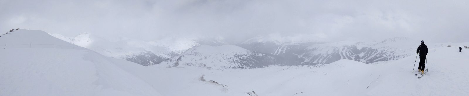 Marmot Panorama