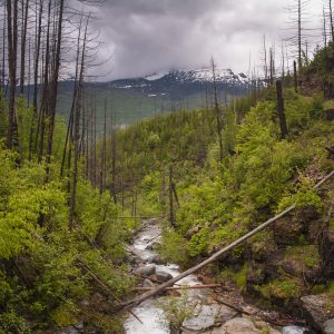 Glacier National Park