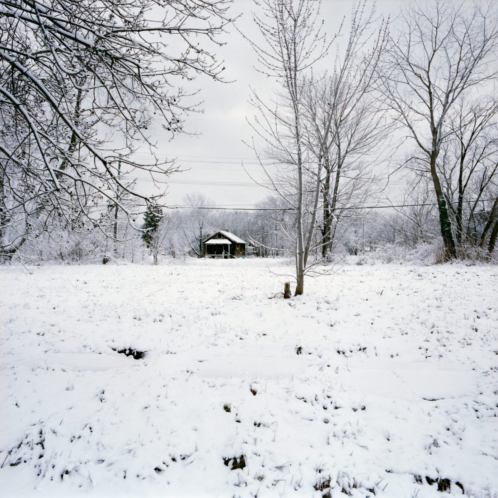 Empty East Side neighborhood. Detroit, Michigan.