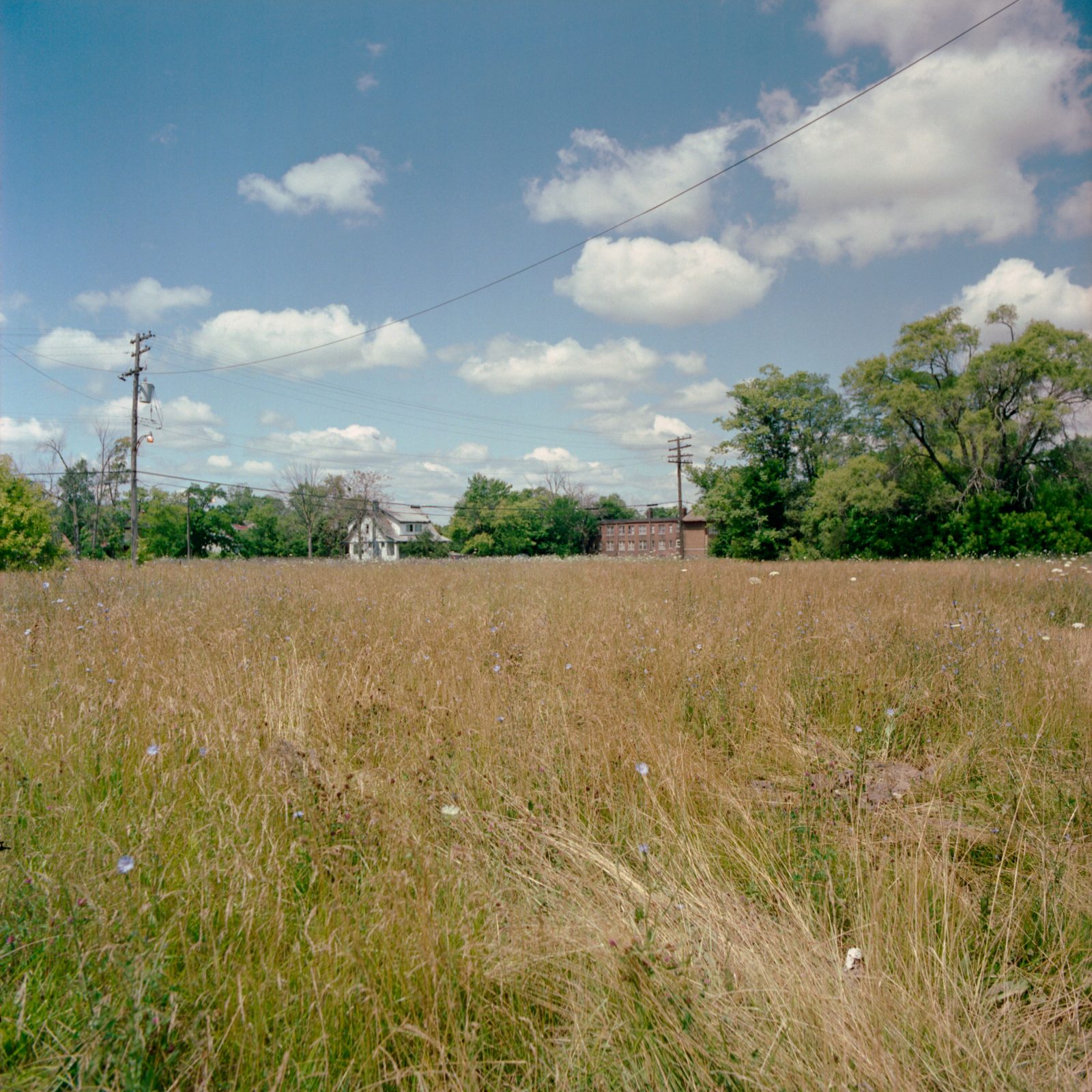 Abandoned neighborhood on Detroit's East Side.