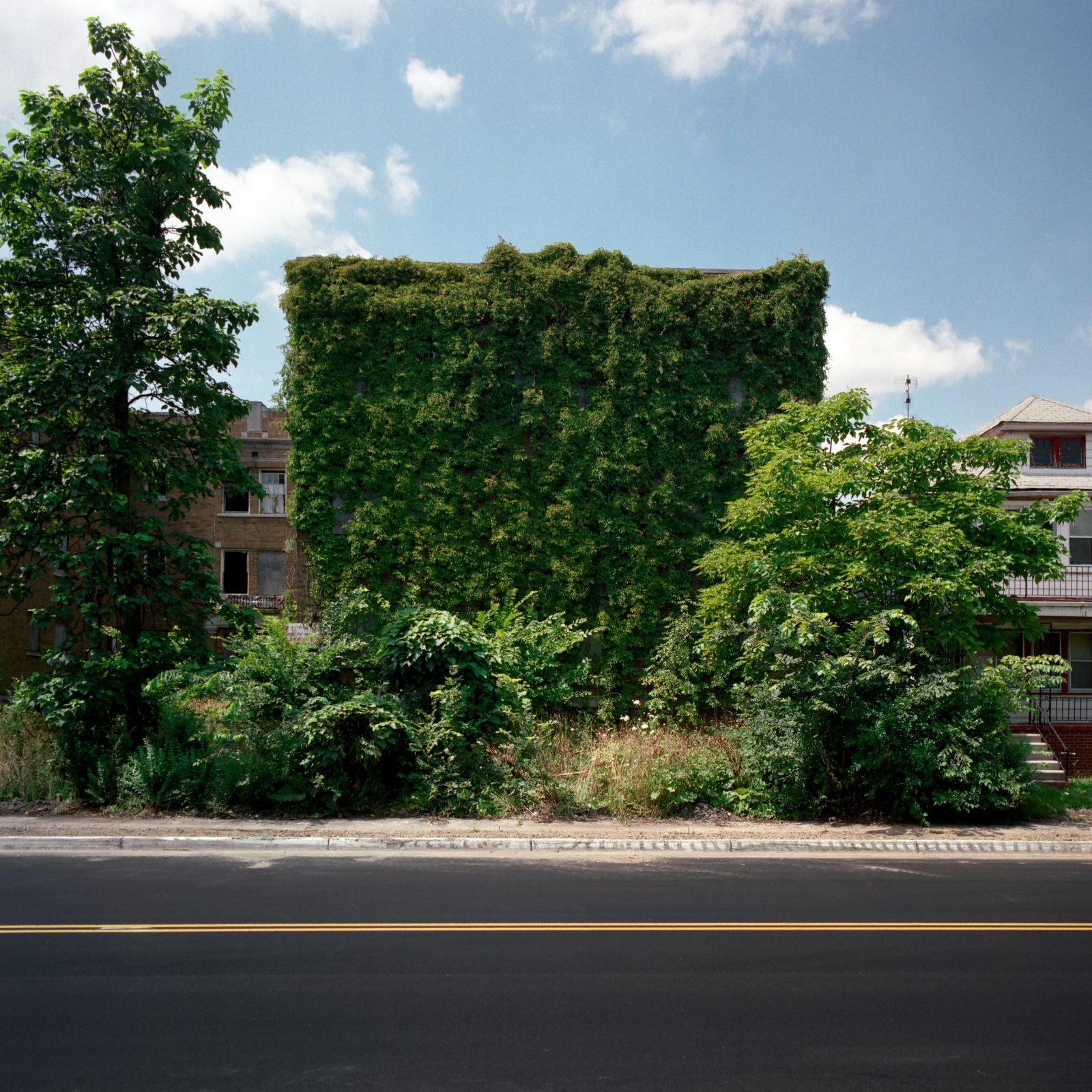 Abandoned apartment on Detroit's East Side, covered in ivy.