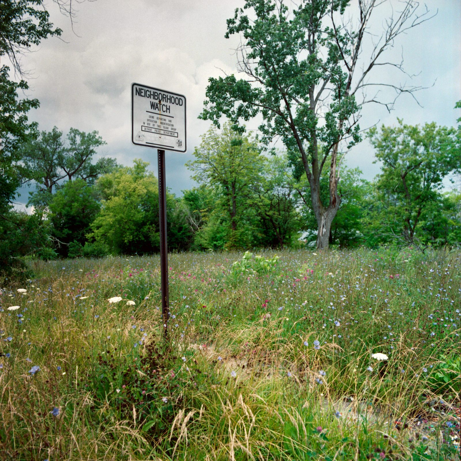 Neighborhood watch. Detroit, Michigan.