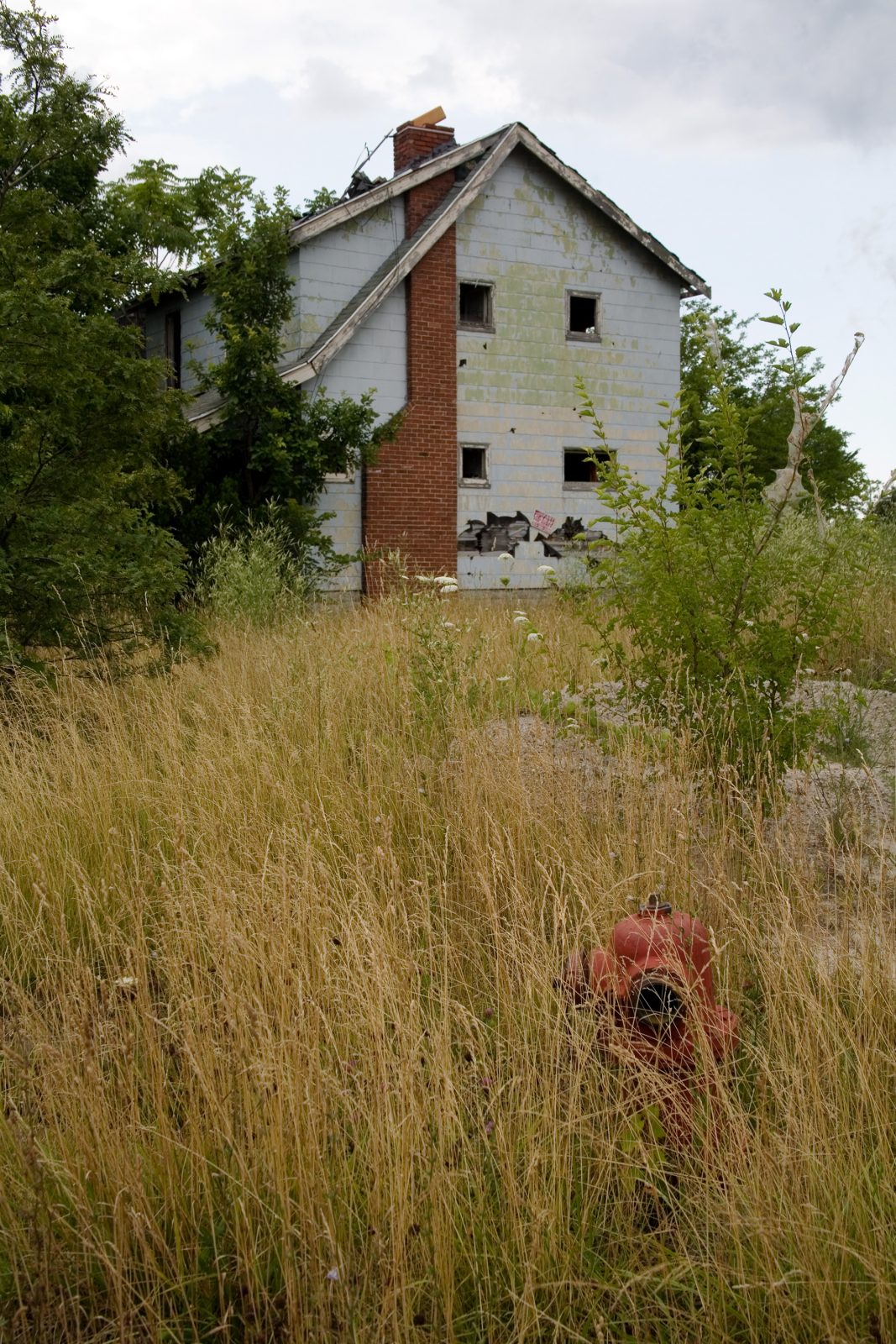 Abandoned neighborhood, Detroit.