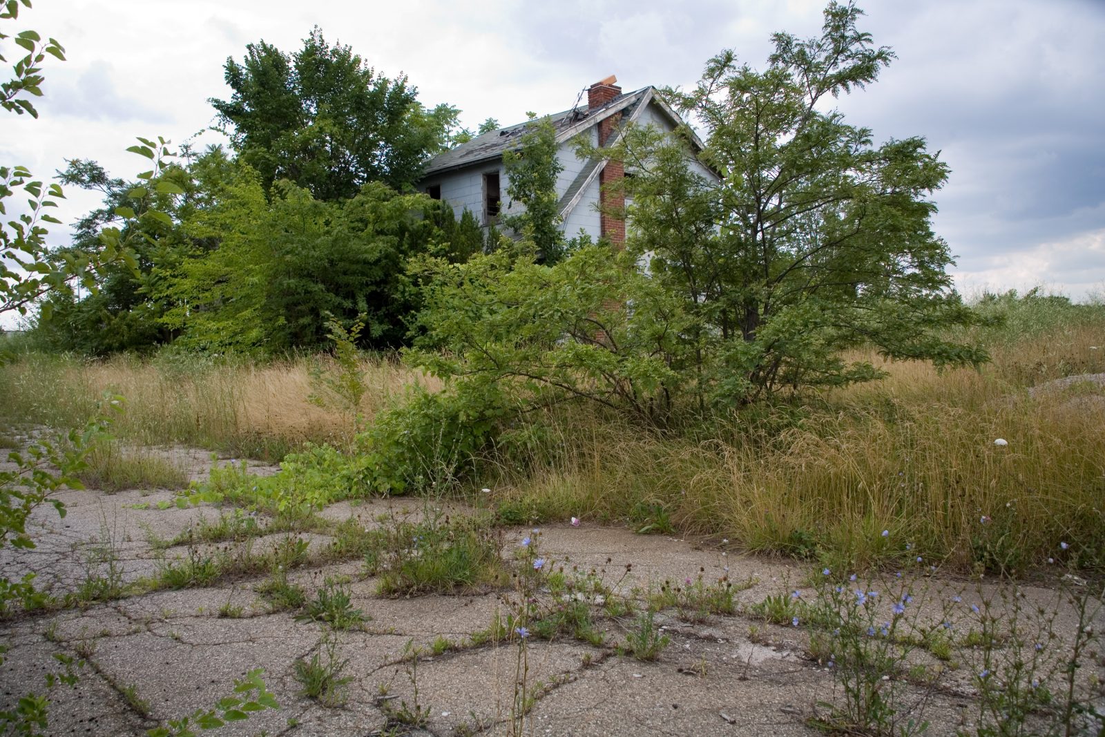 Abanonded neighborhood, Detroit.