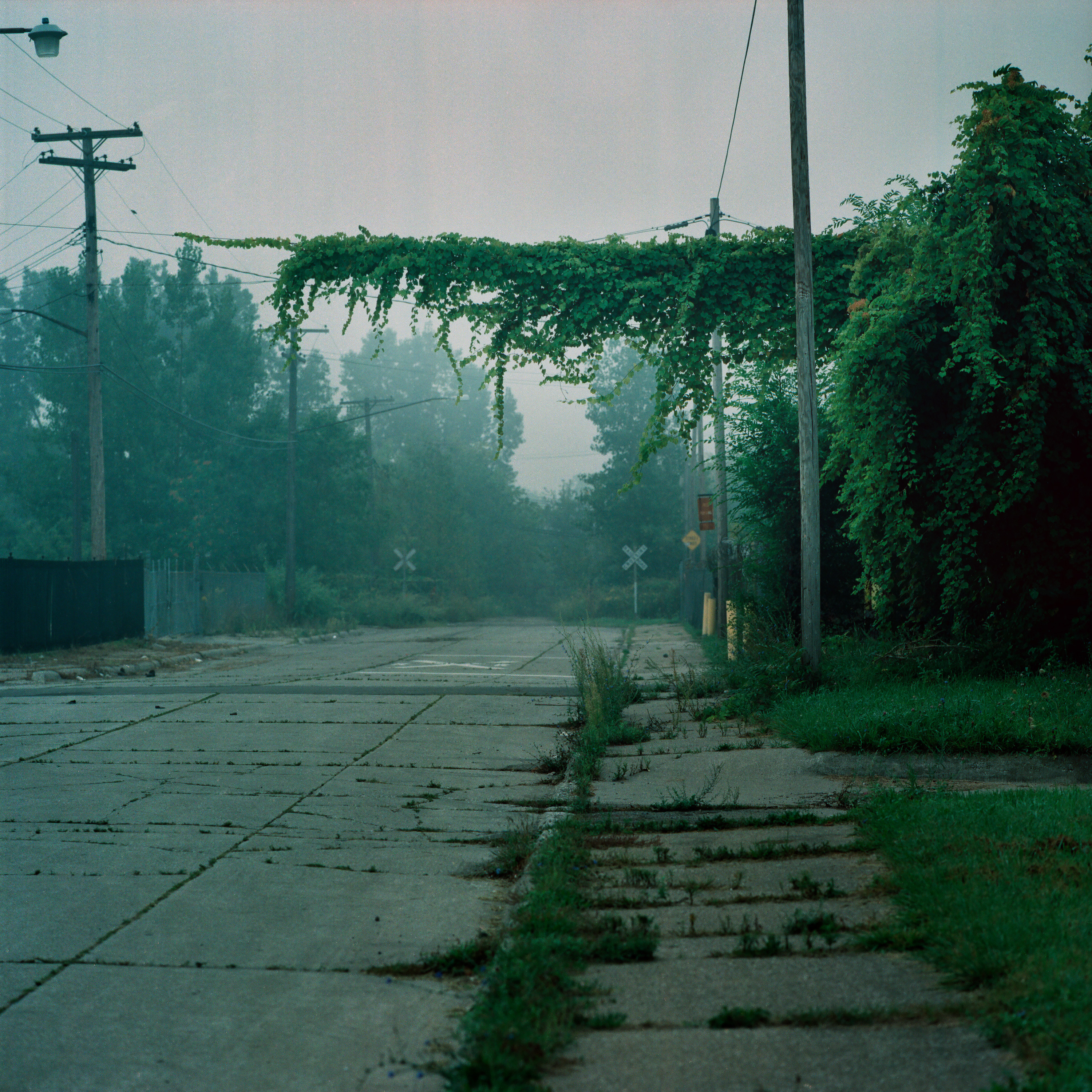 Foggy dead end. Detroit, Michigan.