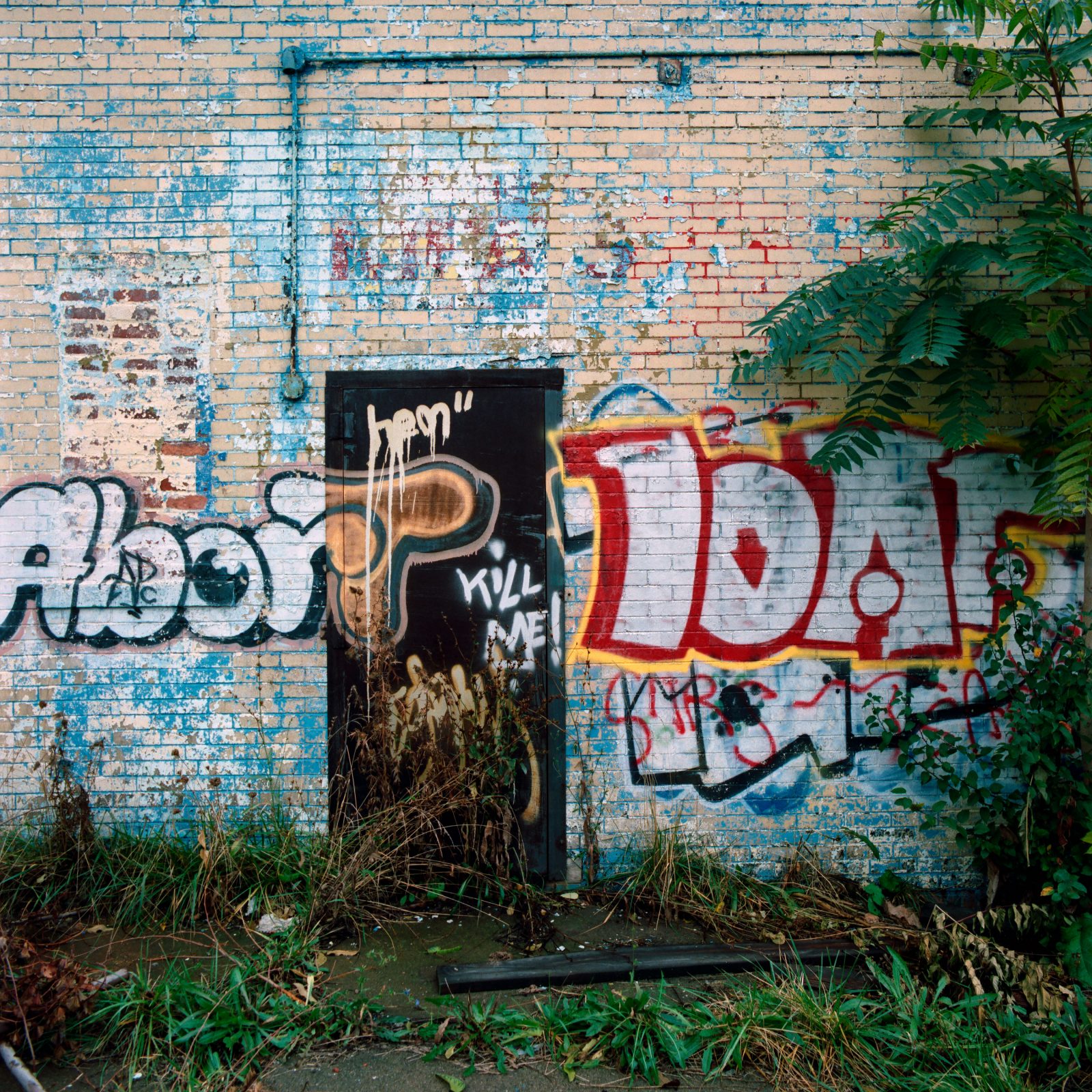 Abort Toad graffiti. Detroit, Michigan.