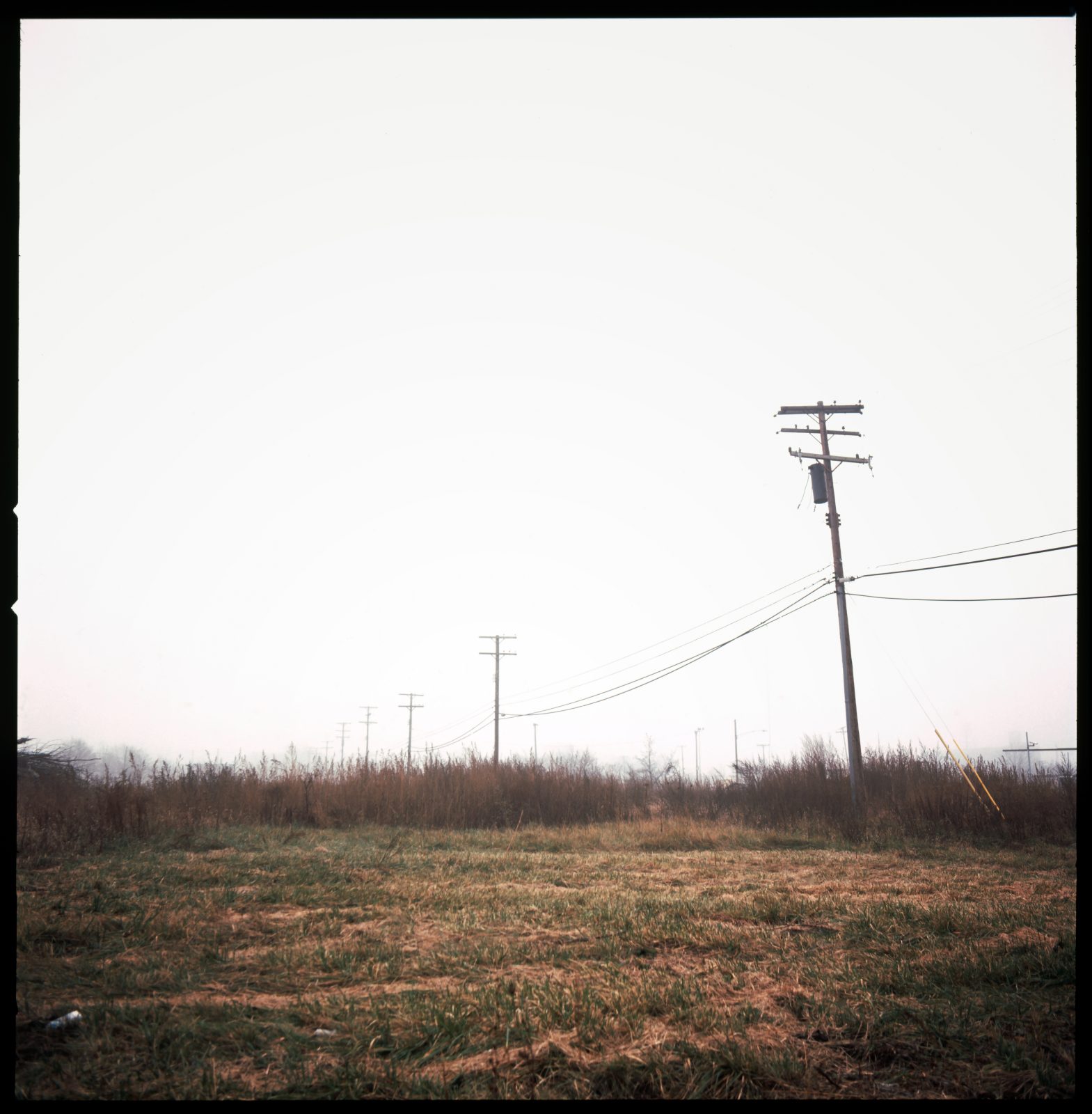 Empty industrial park. Detroit, Michigan.