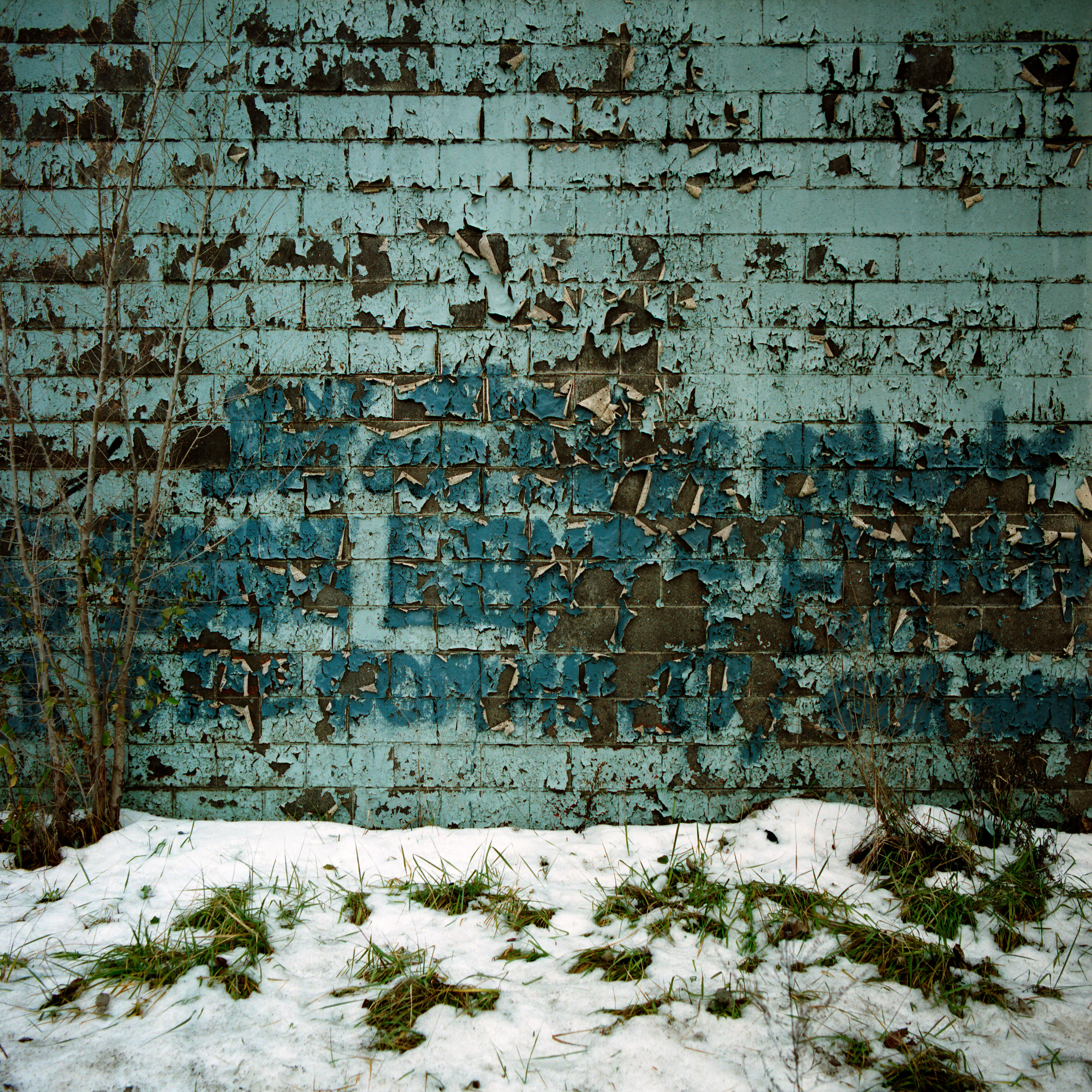 Peeling paint on a wall. Detroit, Michigan.