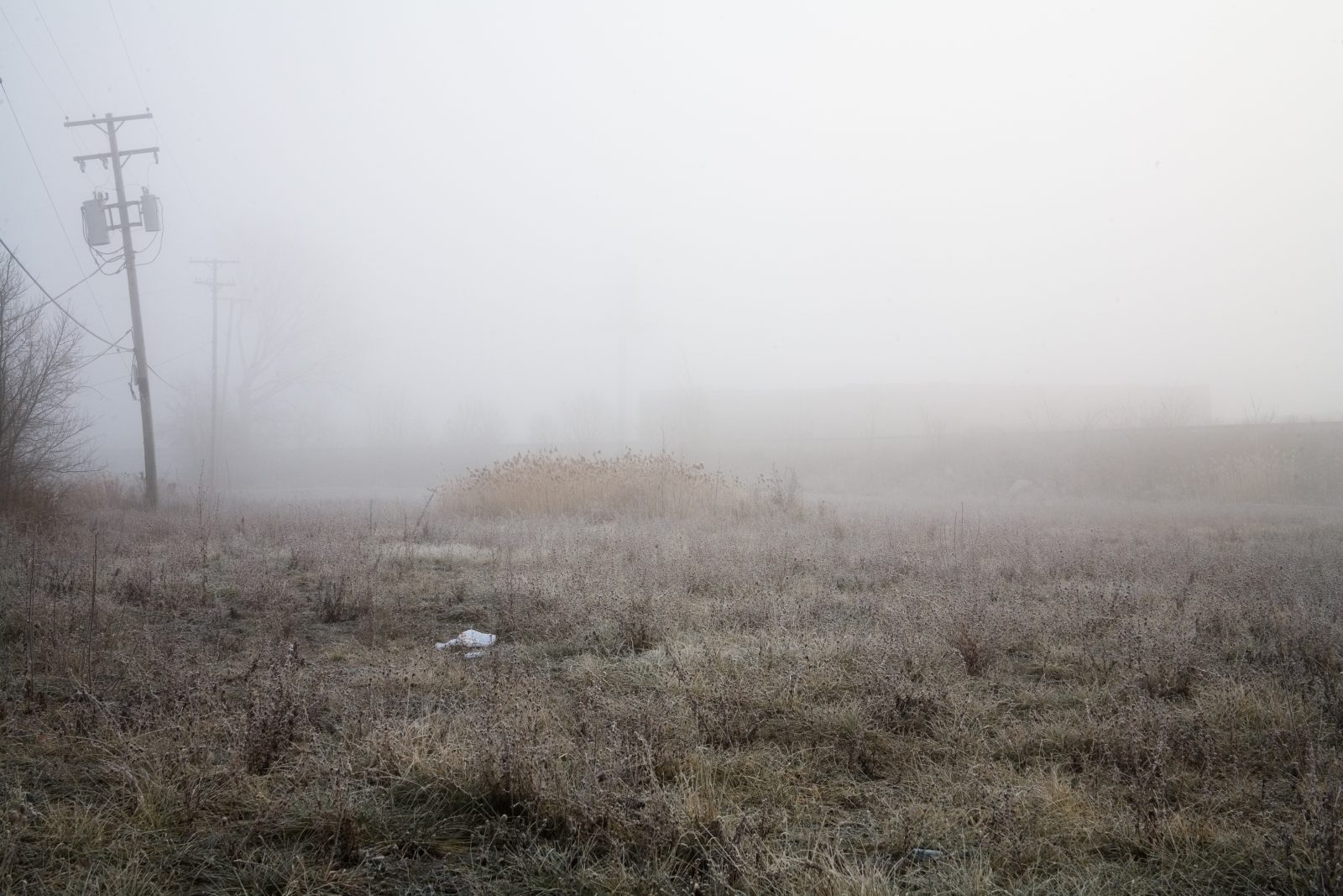 A foggy morning in Detroit