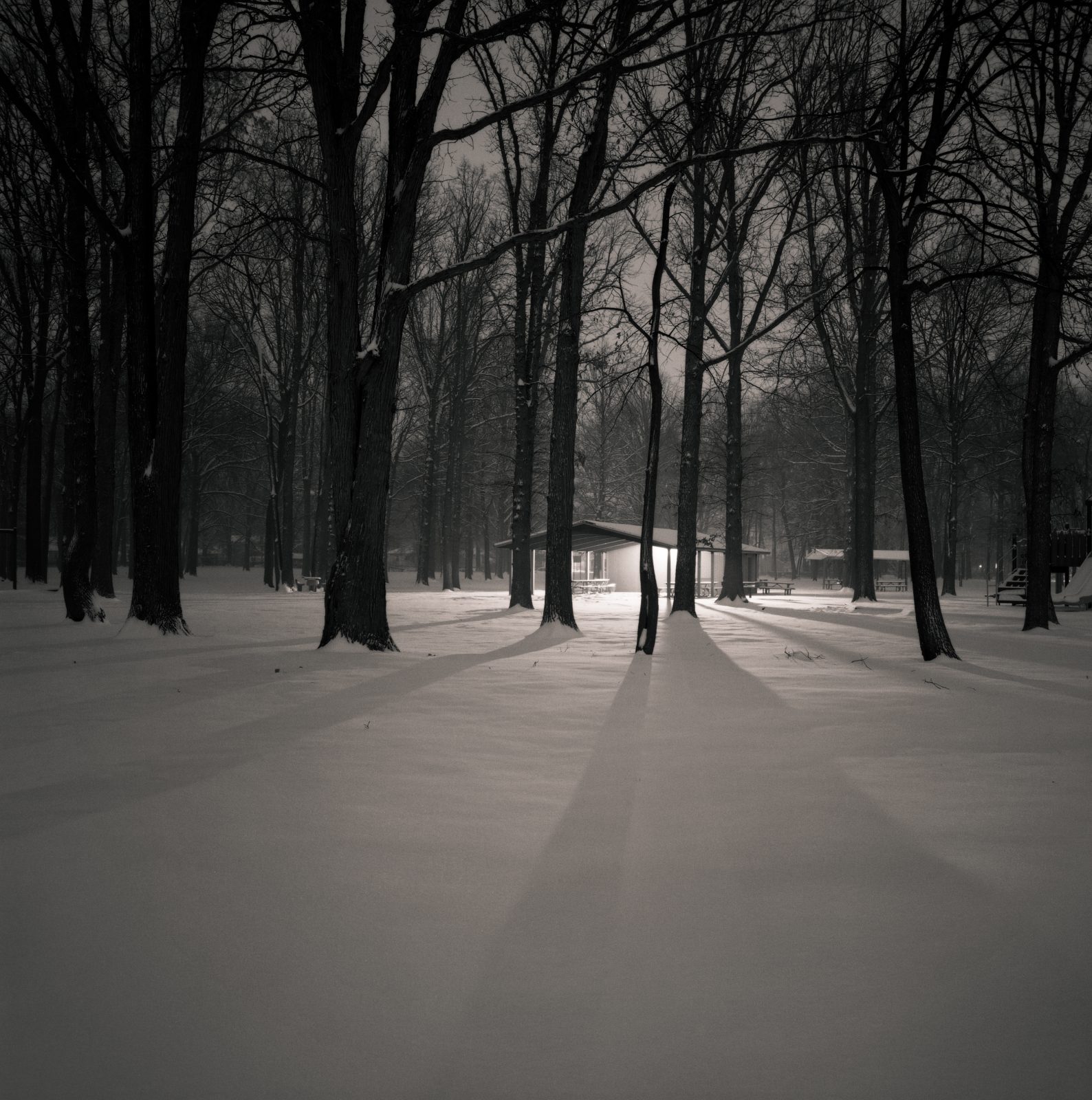 Black and white photo of a park at night