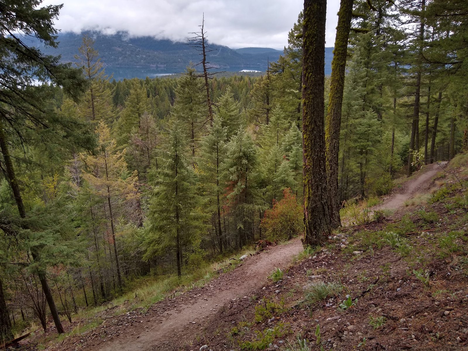 Whitefish Trail - May 7, 2020