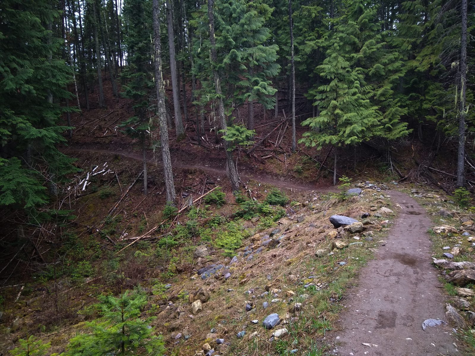 Whitefish Trail - May 7, 2020