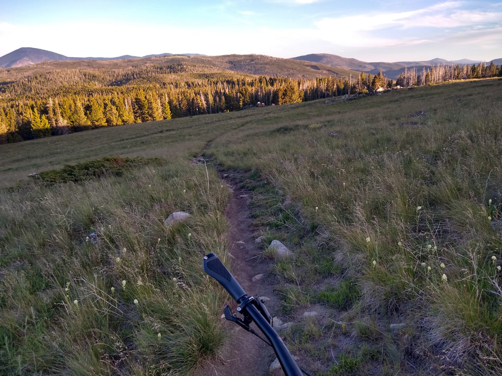 Continental Divide Trail - June 26, 2020