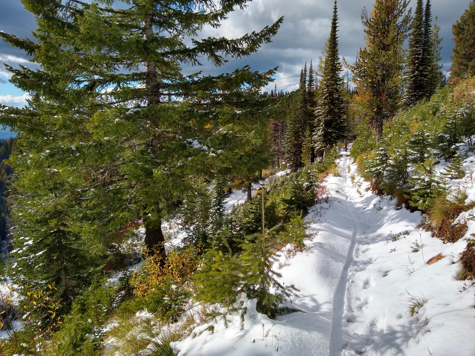 Snowy singletrack on Big Mountain