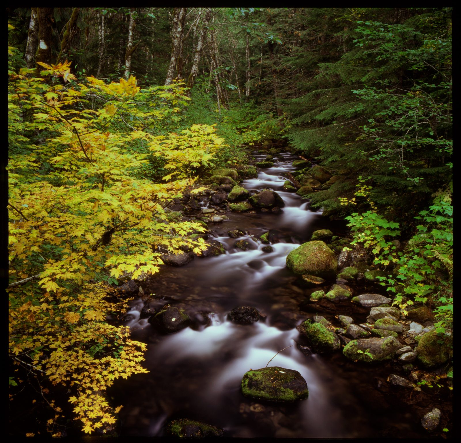 Salmon River in Fall