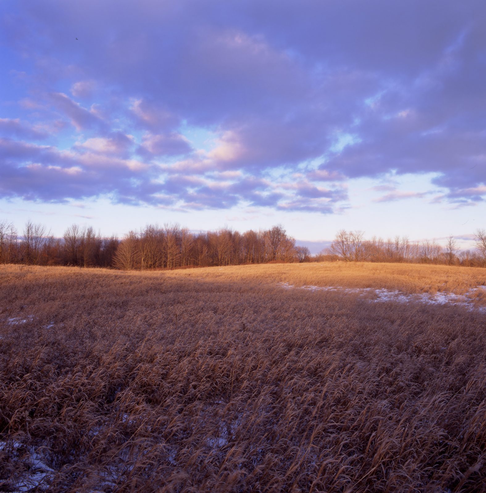 Maybury State Park