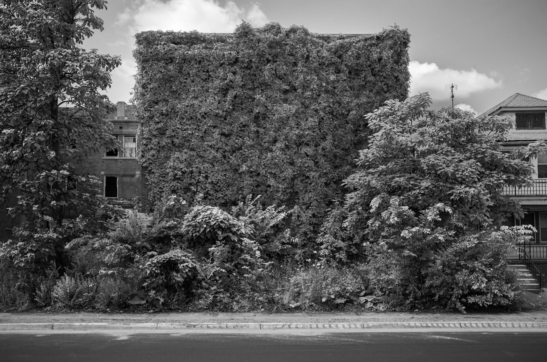 Abandoned apartment building, Detroit, Michigan