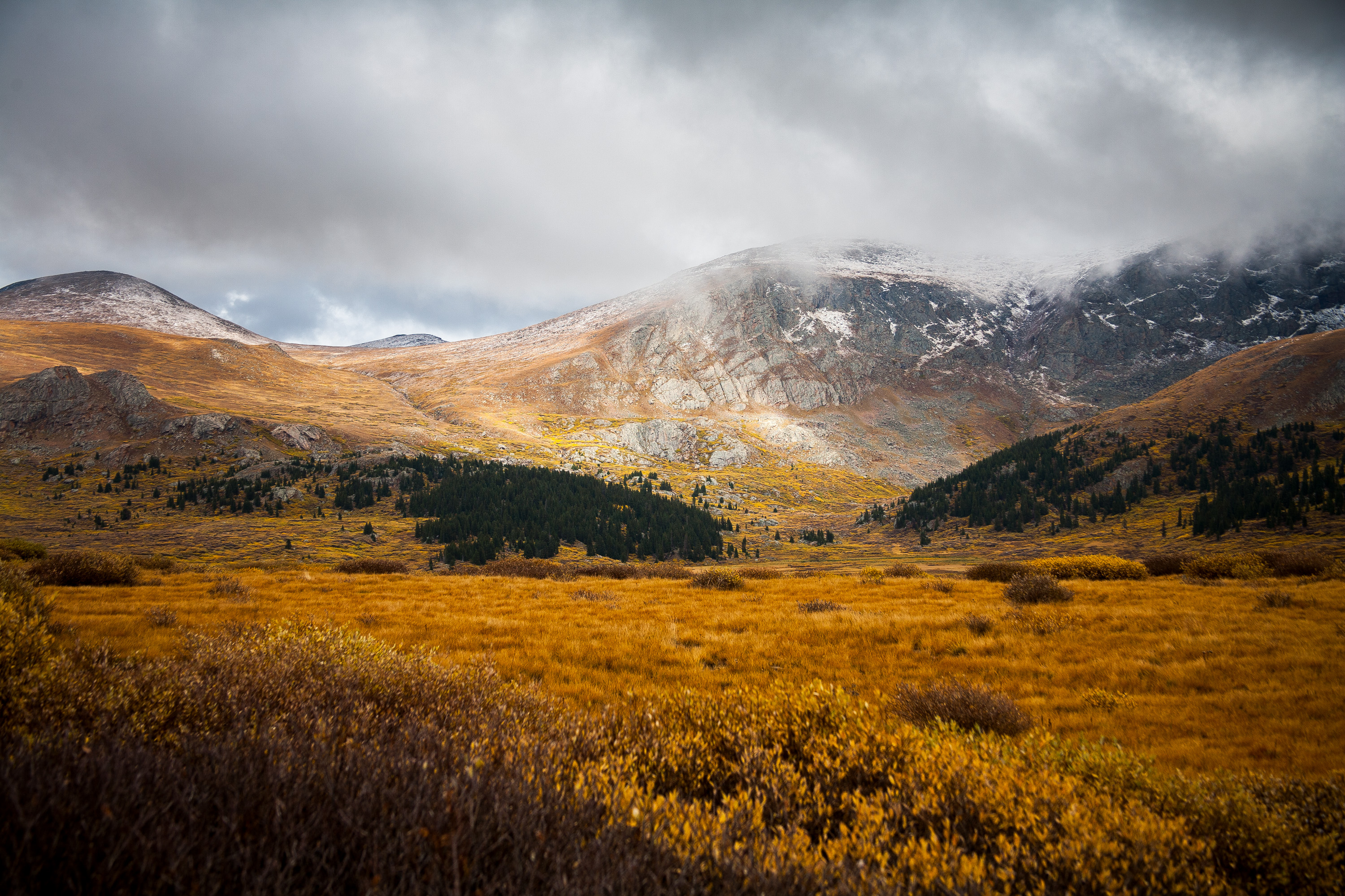 Fall colors on Guanella Pass