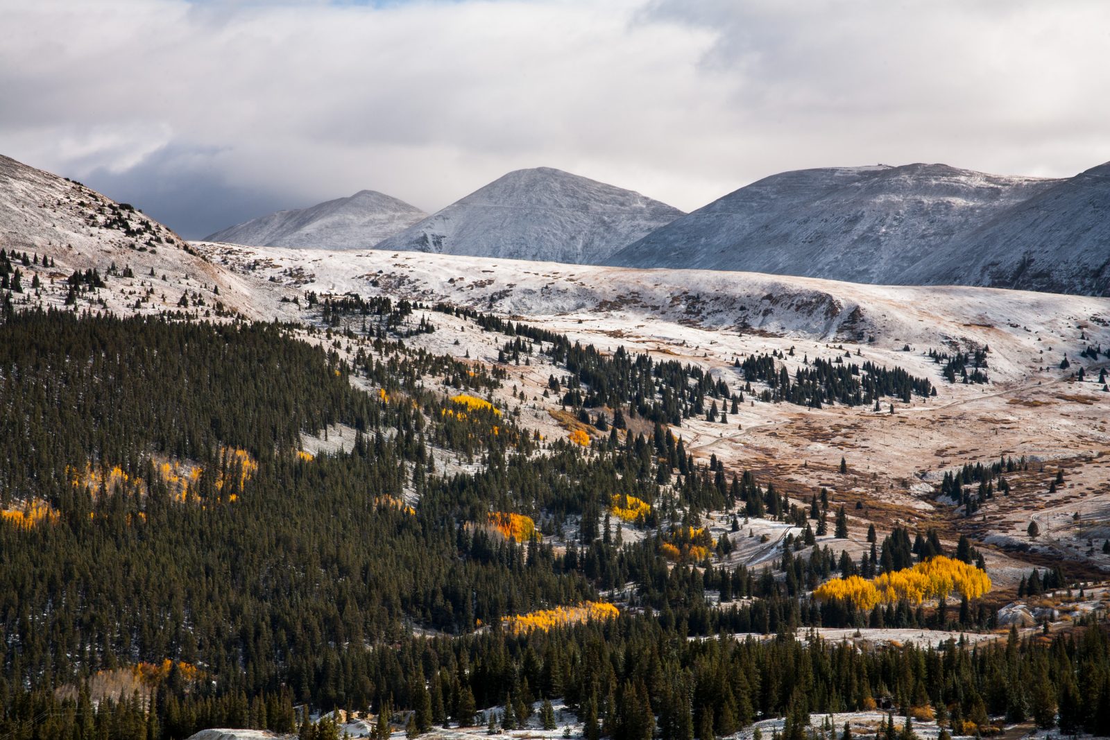 Fall colors and snow on Mosquito Pass, Colorado