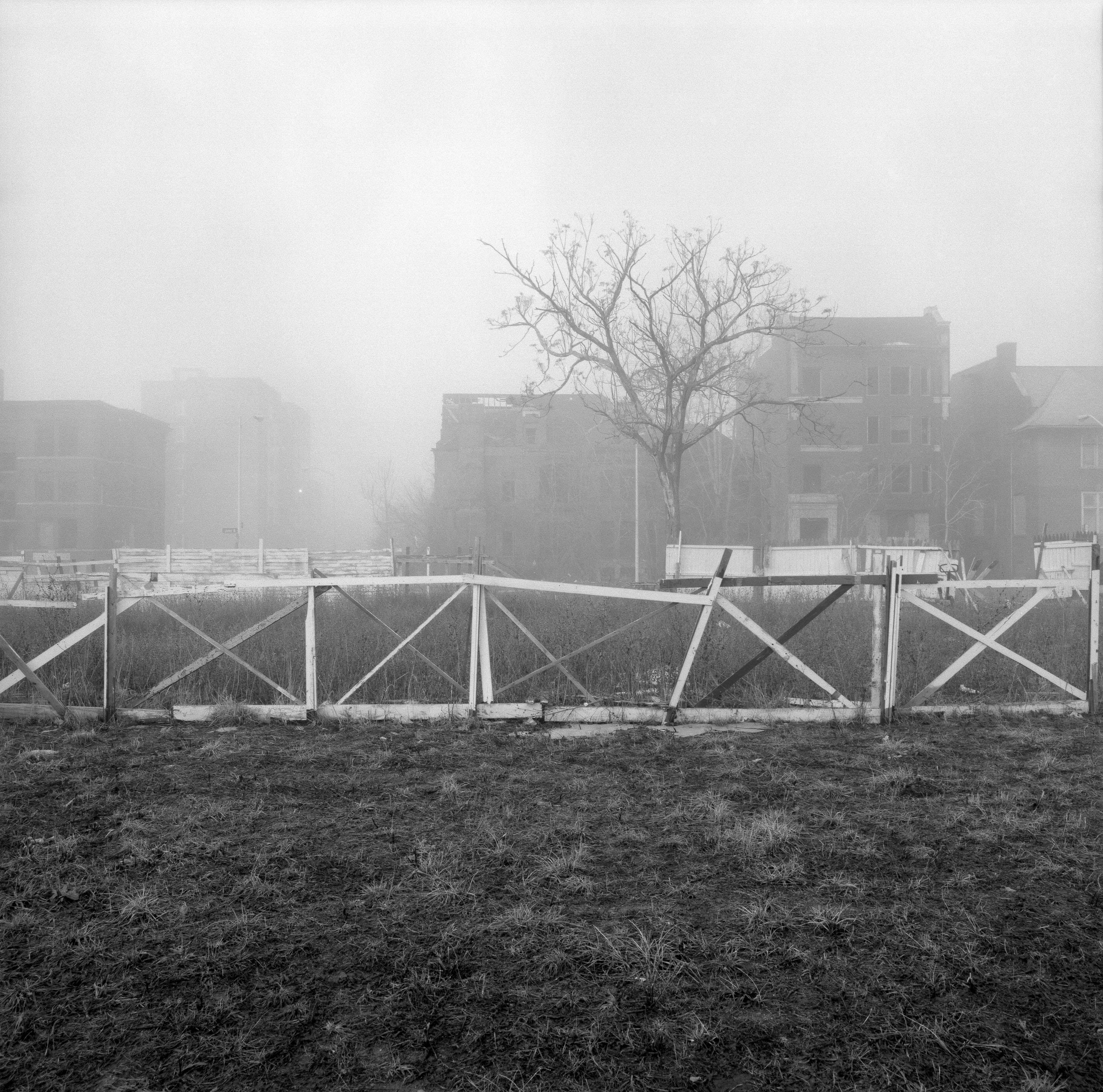 Brush Park, Detroit, Michigan