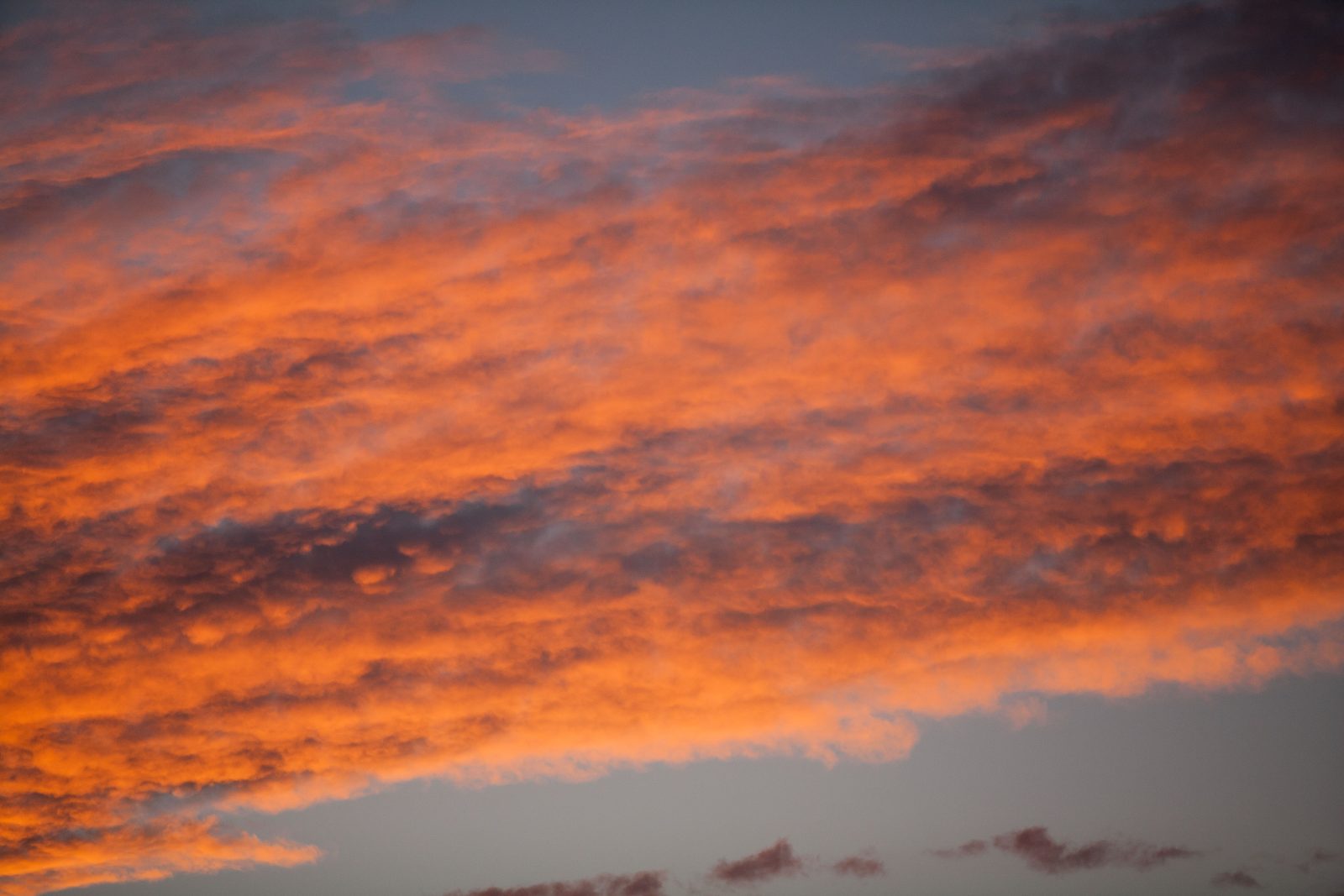 Sunset clouds