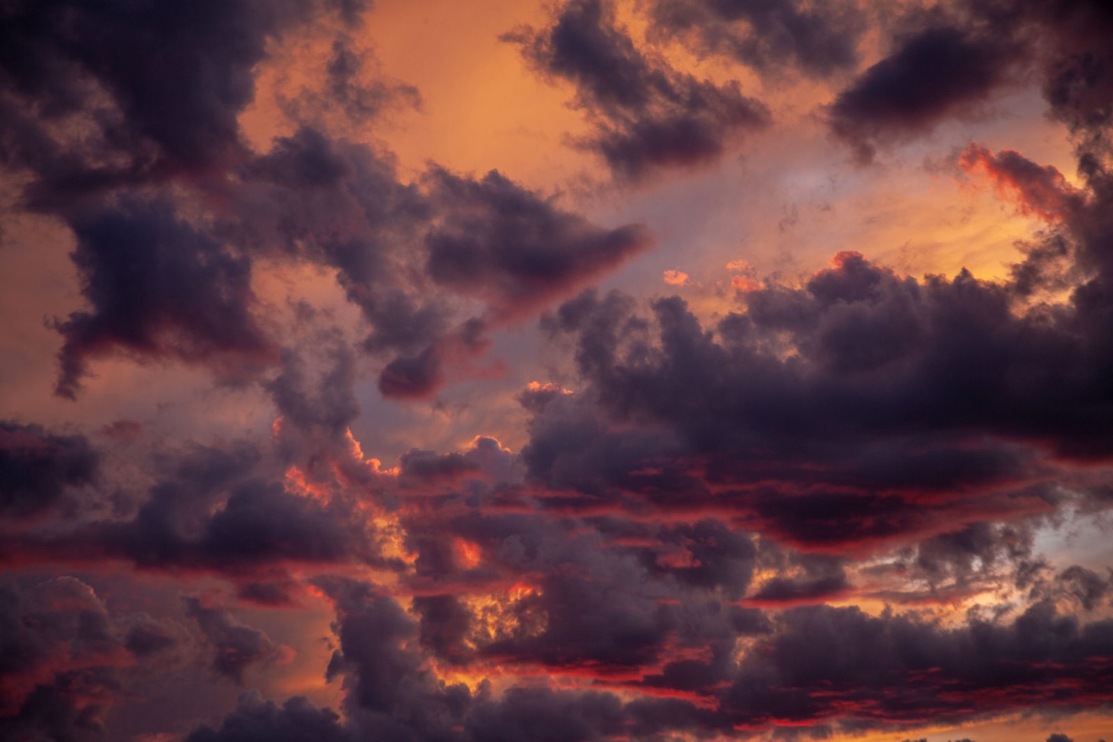 Whitefish, Montana sunset