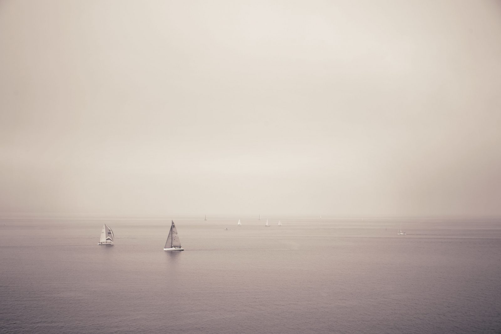 Sailboats on Puget Sound
