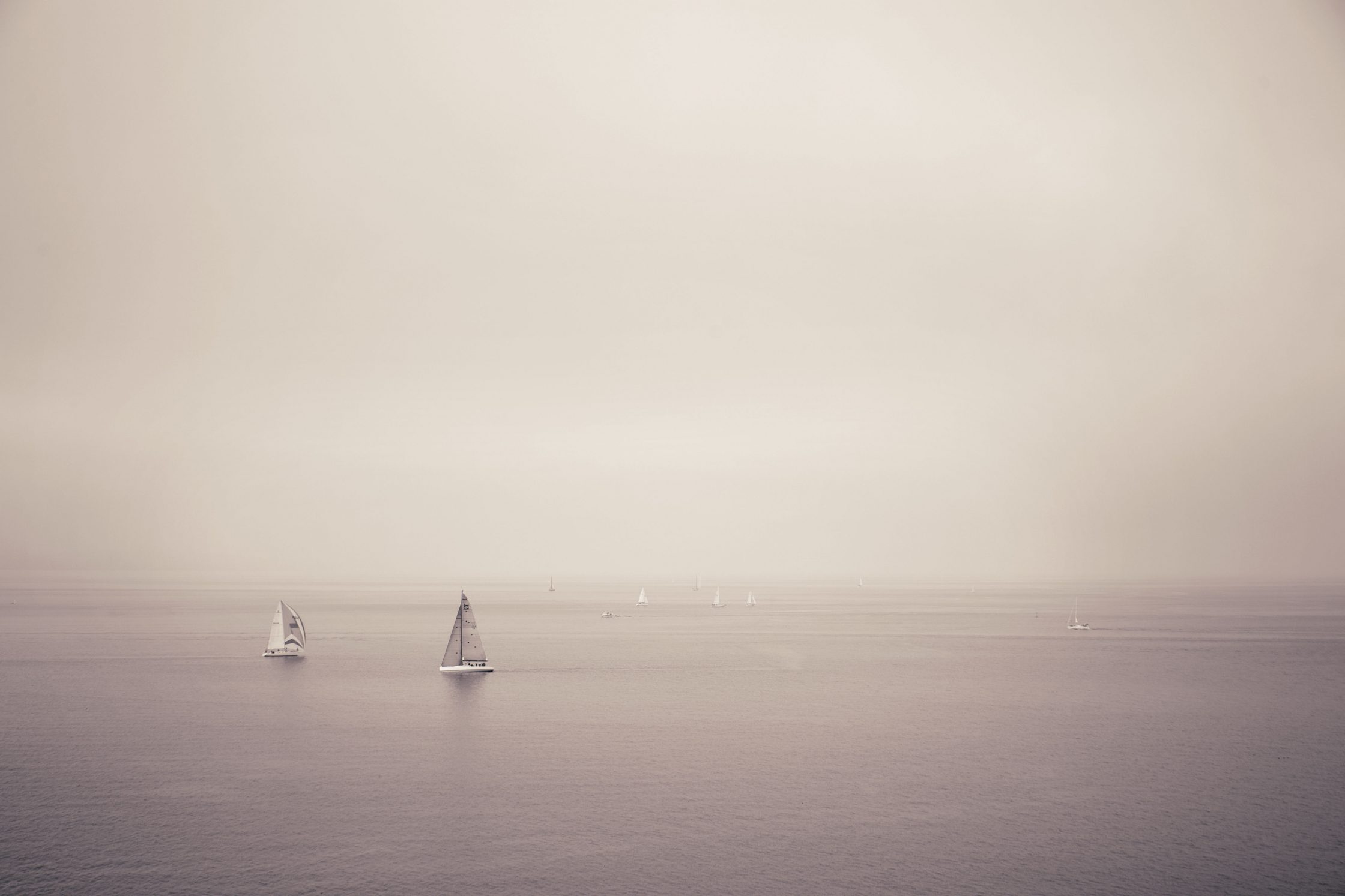 Sailboats on Puget Sound